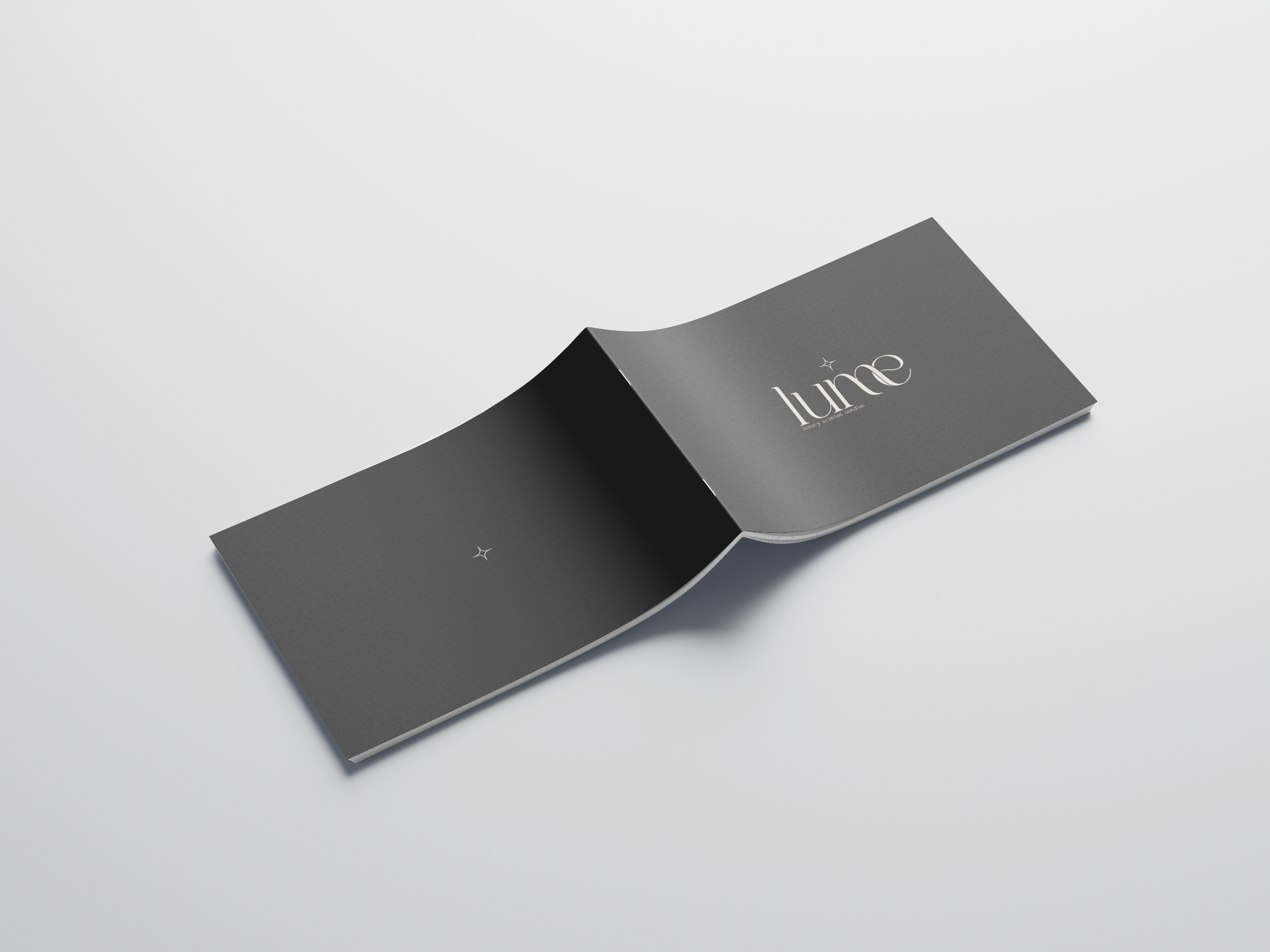 mockup-4